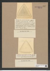 Stictodiscus bicoronatus Castr. (de-Toni-Nr.: Genus 205, Species 5257) Zeichnungen Sammlung Grunow Nr. 9052 (NHMW-BOT-W0378787)